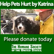 Please help the stranded pets!
