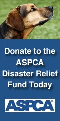 Please help the stranded pets!