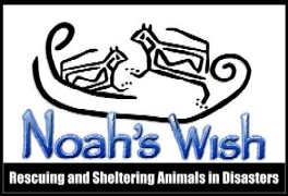 Please help the stranded pets!